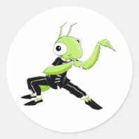 Kung Fu Praying Mantis