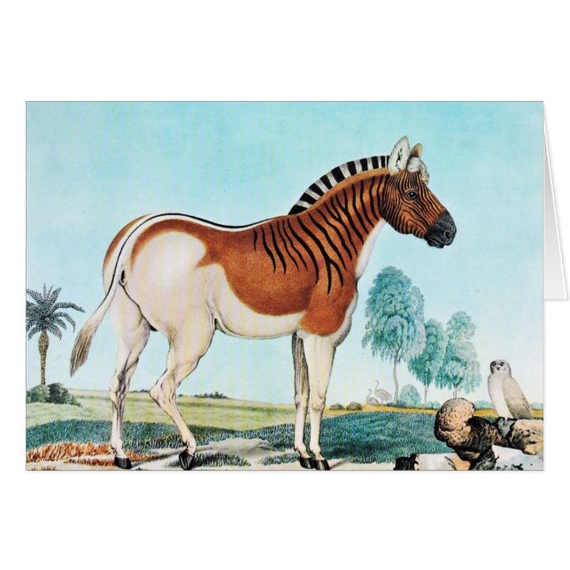 Kunst Aquarellquagga-(Zebra) (Vorderseite (Horizontal))