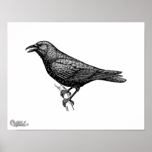 Kunst der Krähe Poster