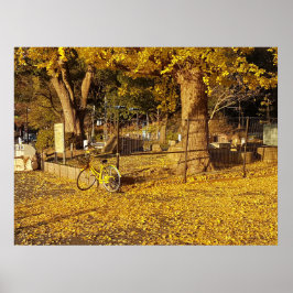 Kunst durch die Linse Poster