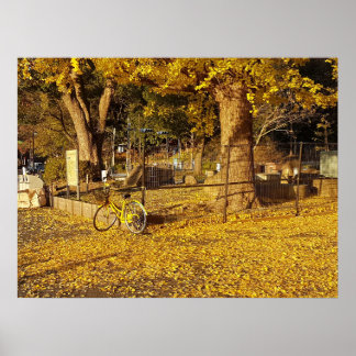Kunst durch die Linse Poster