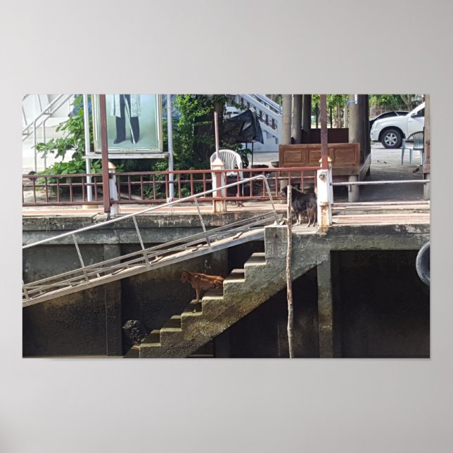 Kunst durch die Linse Poster (Vorne)