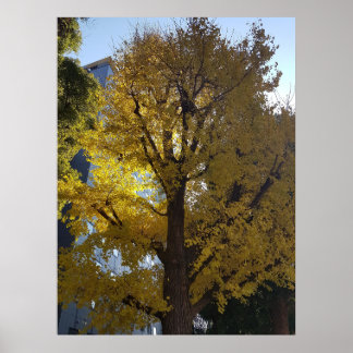Kunst durch die Linse Poster