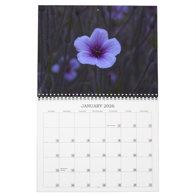 Kunst-Fotografie - 2013 Kalender (Jan 2026)