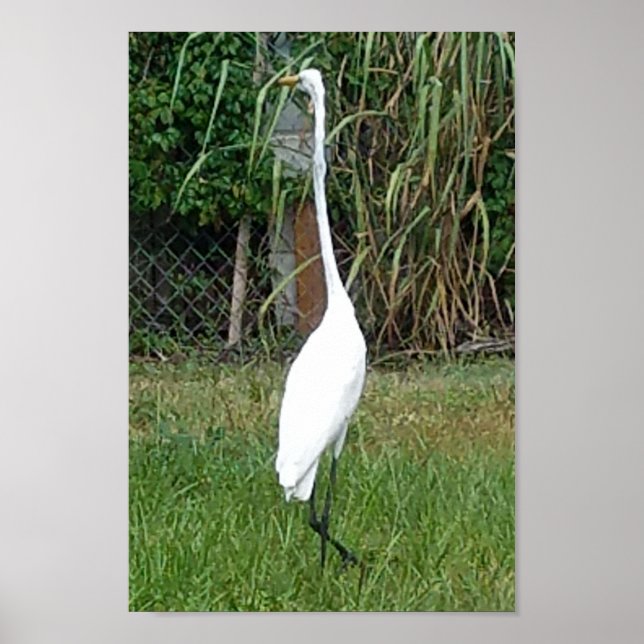 Kunst für Ihre Wände Poster (Vorne)