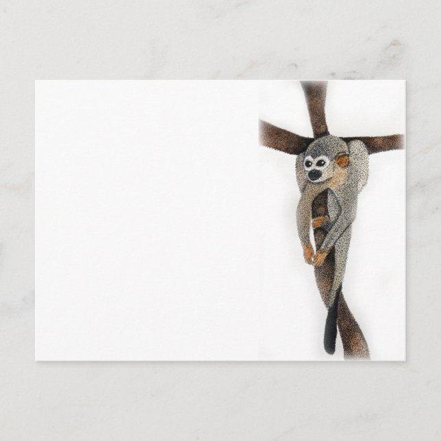 Kunst mit Kugelschreiber für Spinnenaffen Postkarte (Vorderseite)