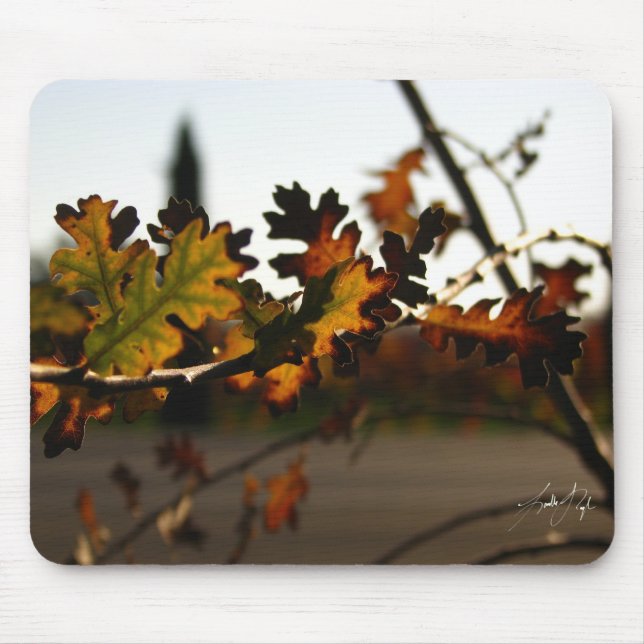 Kunst Nouveau Schössling Mousepad (Vorne)