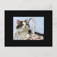 Kunst-Trading Card des Valentinsgrußes des
