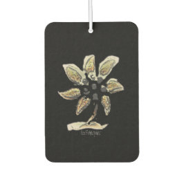 Kunst und Design für Autos Autolufterfrischer