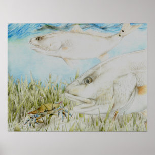 Kunst von B. King Grad 8 Poster