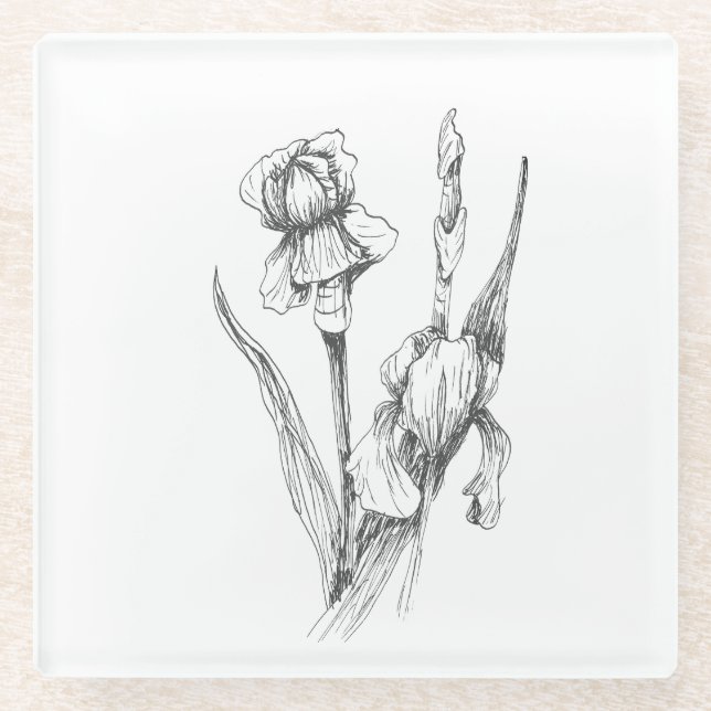 Kunst Zeichnend, Iris-Blume, botanische Kunst Glasuntersetzer (Vorderseite)