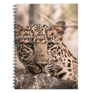 Kunstbild eines männlichen Leoparden oder Pantherp Notizblock