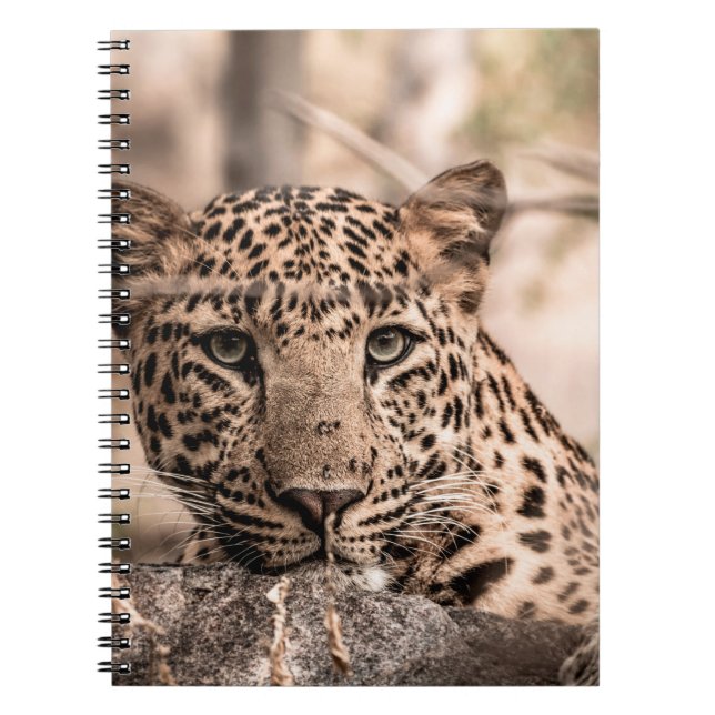 Kunstbild eines männlichen Leoparden oder Pantherp Notizblock (Vorderseite)