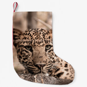 Kunstbild männlicher Leoparden oder Panther Kleiner Weihnachtsstrumpf