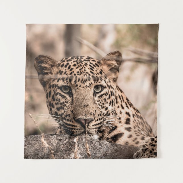 Kunstbild männlicher Leoparden oder Panther Wandteppich (Vorderseite)