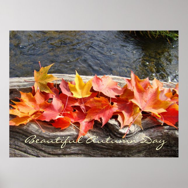 Kunstdrucke des schönen Herbsttages - Herbstlaube Poster (Vorne)