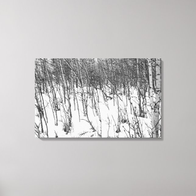 Kunstdrucke von Aspens in Schnee-Leinwand Leinwanddruck (Vorderseite)