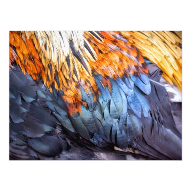 Kunstfeder Fotodruck (Vorne)