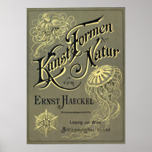 Kunstformen der Natur Abdeckung Poster