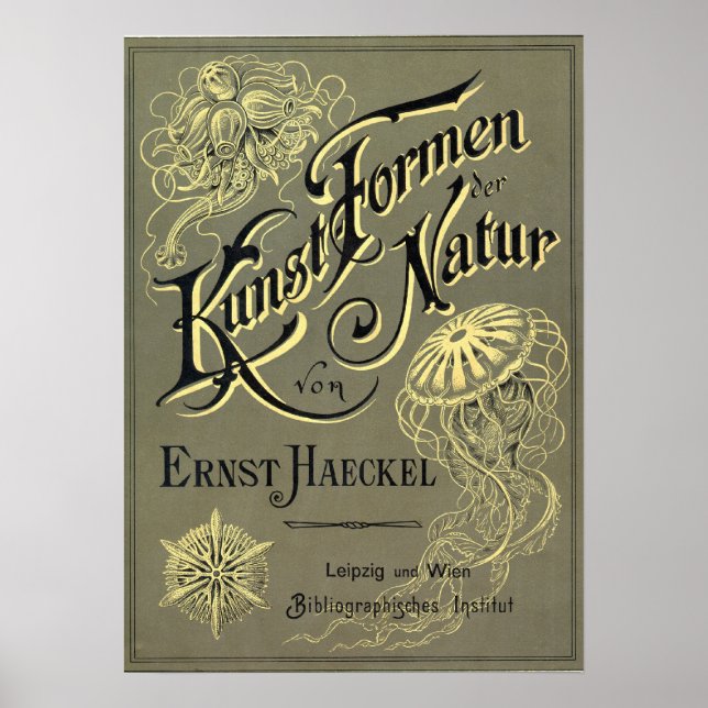 Kunstformen der Natur Poster (Vorne)