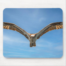 Kunstfoto der Natur: Flug des Fischadlers unter de Mousepad