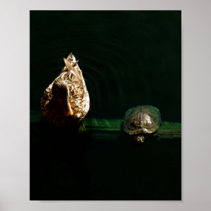 Kunstfotografie von Schildkröten und Enten Poster