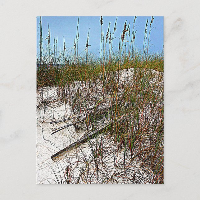 Kunstgeschenke von Clearwater Beach Florida Postkarte (Vorderseite)