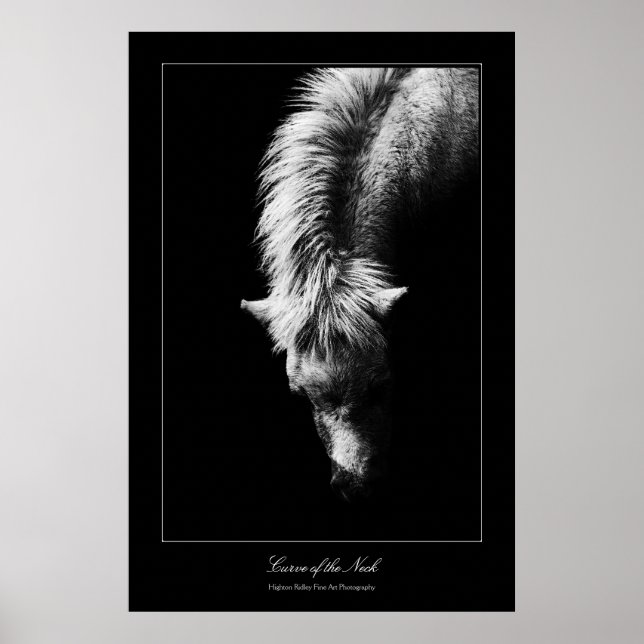 Kunstkurven des Necks, Galerie-Stil Poster (Vorne)