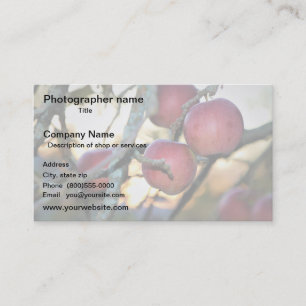 Künstler/Fotograf/Digitale Kunst Visitenkarte
