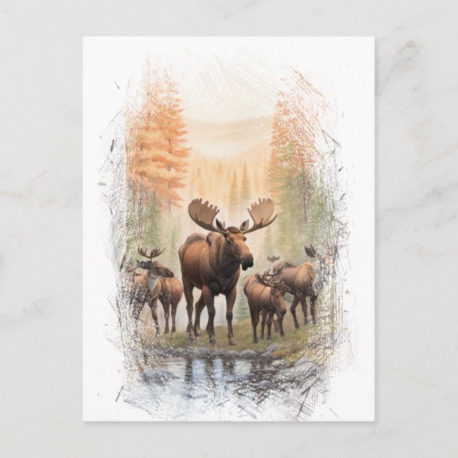 *~* Künstlerisch AP49 MOOSE HERD Forest STREAM Postkarte (Vorderseite)