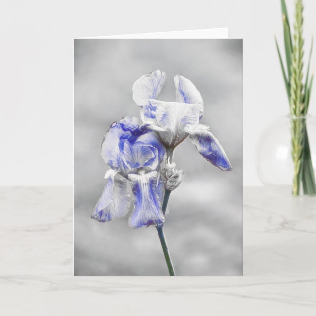 Künstlerisch Blue Grey Iris Blume Portrait Kunstvo Karte (Vorderseite)