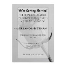 Künstlerisch-minimalistische schwarze und weiße Ro