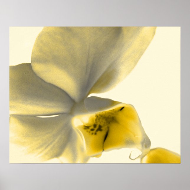 Künstlerische Blume in Gelb Poster (Vorne)