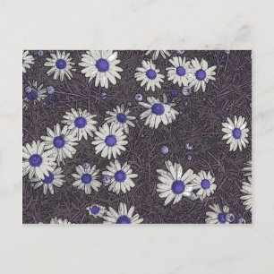 Künstlerische Daisies Postkarte