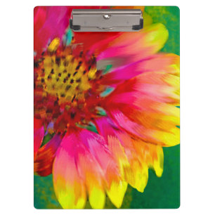 Künstlerische Darstellung der Indian Blanket Blume Klemmbrett