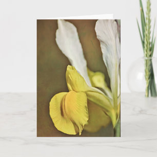 Künstlerische Dutch Iris Blume Note Card Karte
