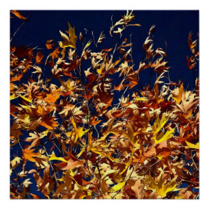 Künstlerische Herbstlaube gegen den "Deep Blue Sky Poster
