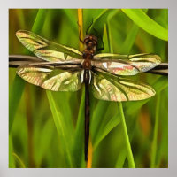 Künstlerische Libelle in Braun und Gelb auf Grün
