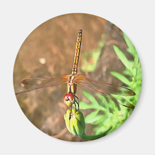 Künstlerische Libellenruhe auf einer Blume Magnet
