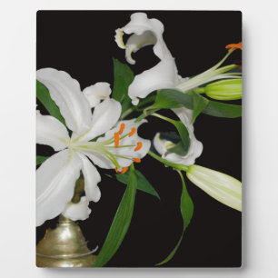 Künstlerische Lilienkollektion-1 Fotoplatte