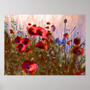 Künstlerische Mohnblumen Poster