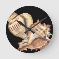 Künstlerische Tritonshorn-Muscheln