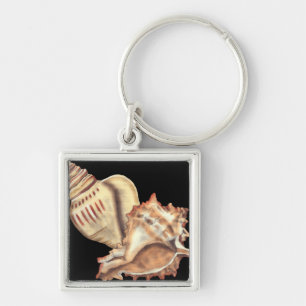 Künstlerische Tritonshorn-Muscheln Schlüsselanhänger