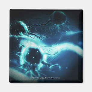 Künstlerische Wiedergabe der Krebszellen Magnet