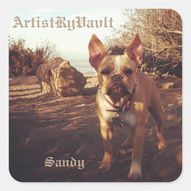 KünstlerRyVavlt Sandy Sticker (Vorderseite)