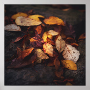 Kunstposter Herbstlaub Poster