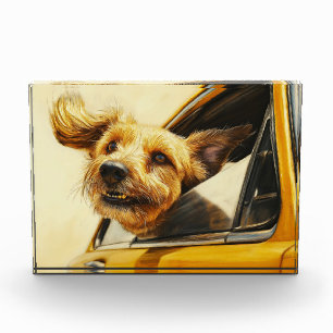 Kunstprint: Spielender Hund genießt Autofahrt Fotoblock