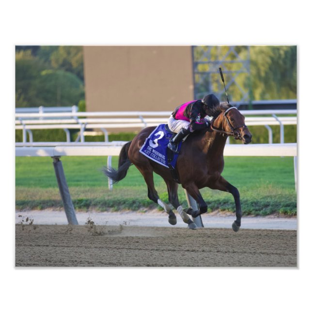Kunstsammler und Luis Saez fangen den Wald ein Fotodruck (Vorne)
