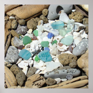 Kunstvolle Drucke Ozean Meeresglas Muscheln Treibh