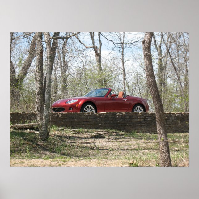 Kupfer rot poster (Vorne)